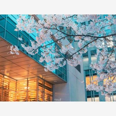 AG旗舰厅app下载